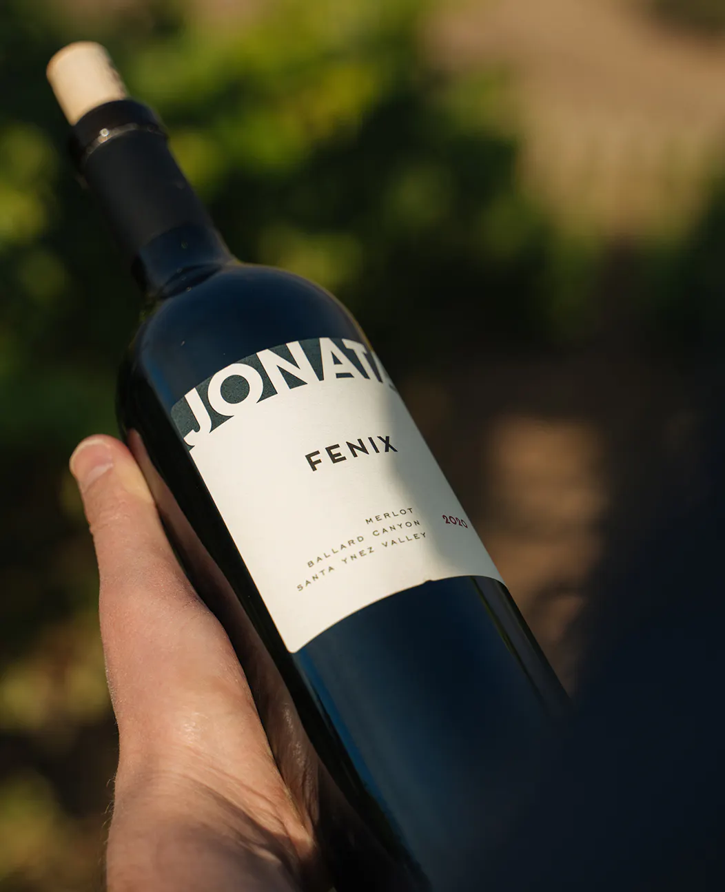 Jonata 00103001