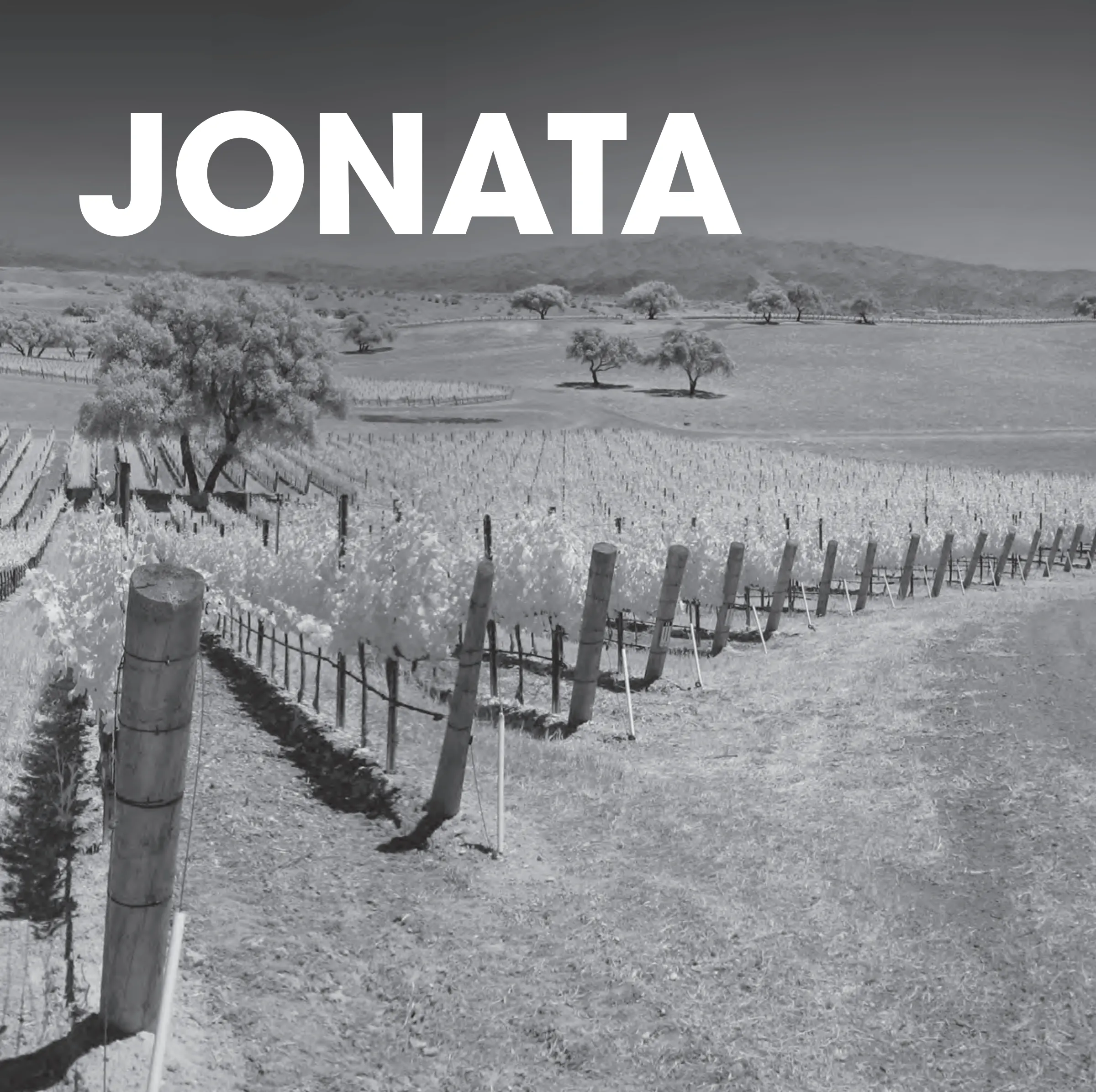 Jonata 2018 Sngl Pages Final